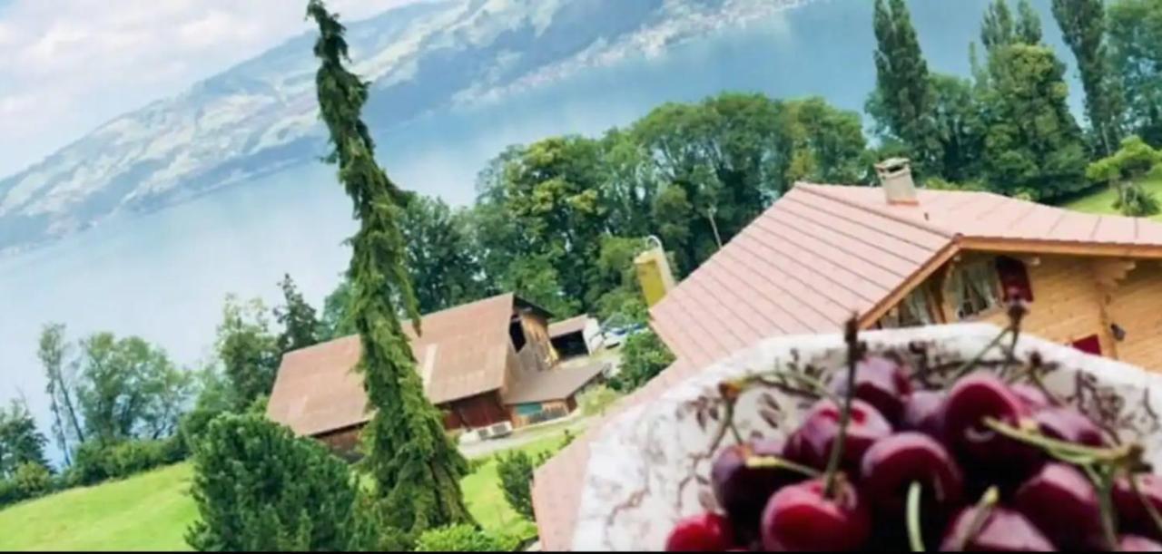 Lakeview Rustic Krattigen Zewnętrze zdjęcie